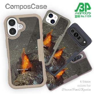 【Compos-Case】熱帯魚　No.10　ウイゴンベ