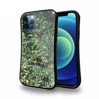 【S-LINE】熱帯魚　No.16　デバスズメダイの群れ2