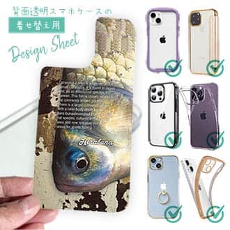 【デザインシート】ヘラブナ