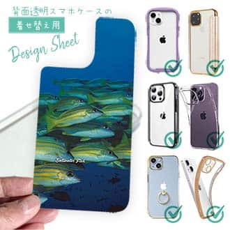 【デザインシート】熱帯魚　No.14　ヨスジフエダイ