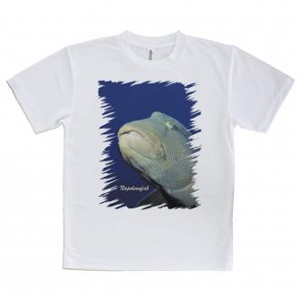 【Tシャツ】水中　ナポレオンフィッシュ