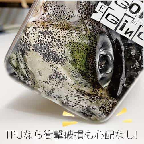 【TPU】エギングに行こう!