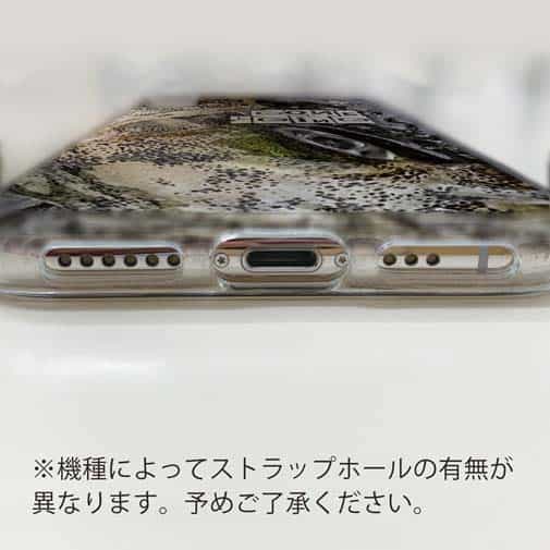 【TPU】エギングに行こう!