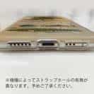 【TPU】【FISH MAN】フィッシングパラダイス「フレッシュウォーター編」ブラウン