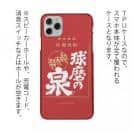 球磨焼酎【TPU】球磨の泉