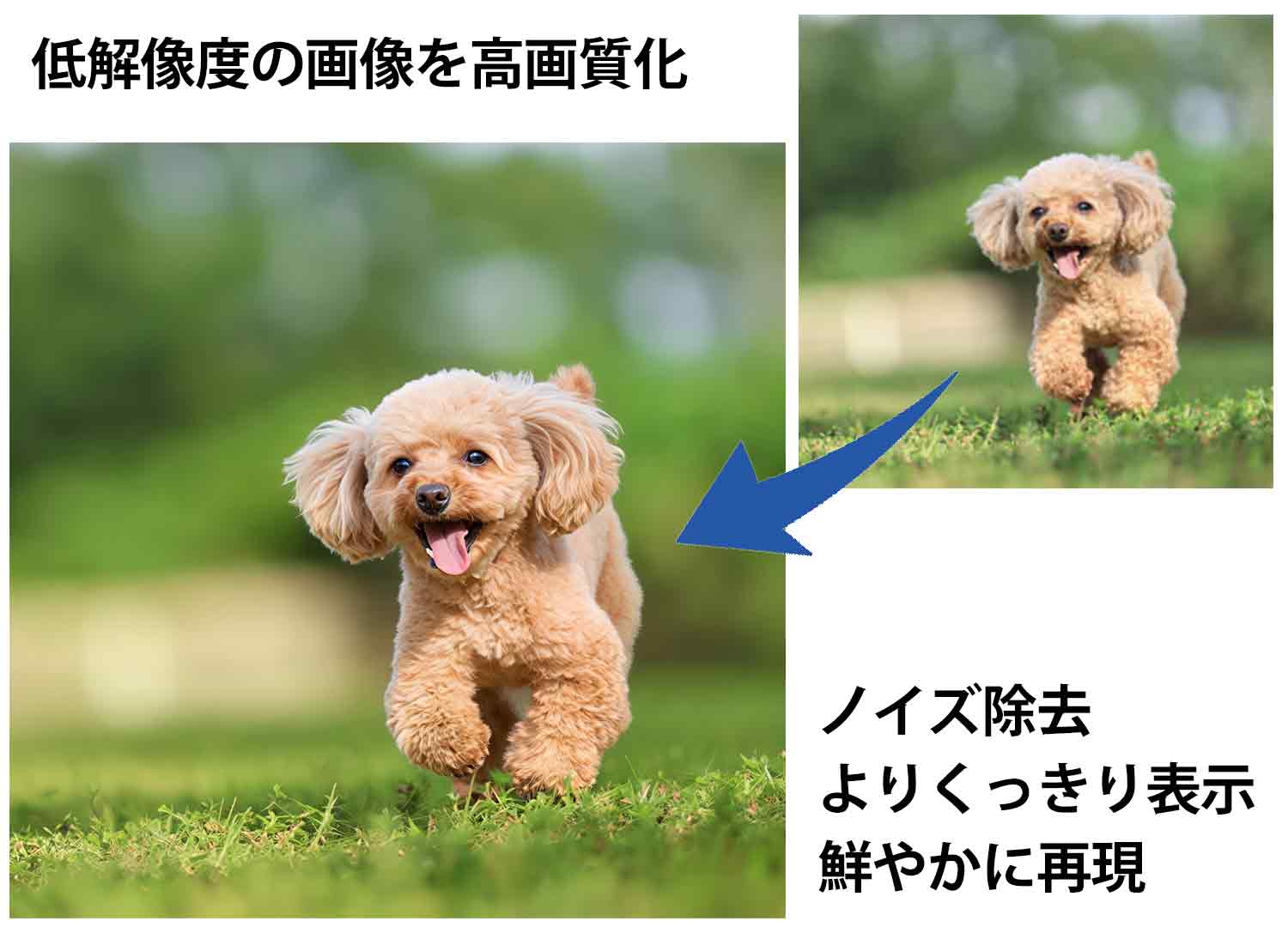 アクリルフォトで鮮やかに再現
