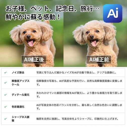 【Aiエンジン搭載】アクリルフォト（正方形）　色褪せない透明感