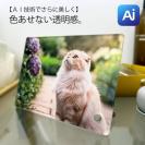 【Aiエンジン搭載】アクリルフォト（長方形）　色褪せない透明感