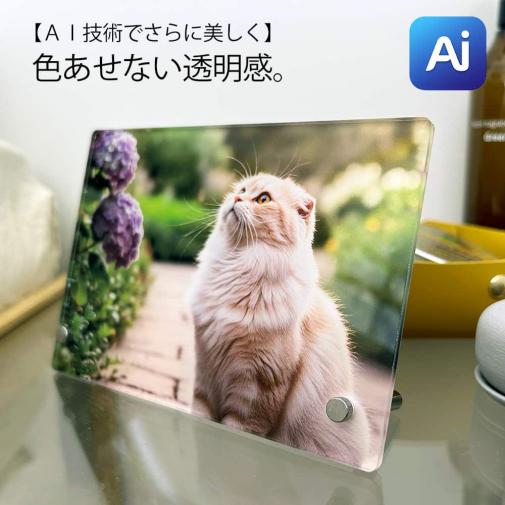 【Aiエンジン搭載】アクリルフォト(長方形) 色褪せない透明感