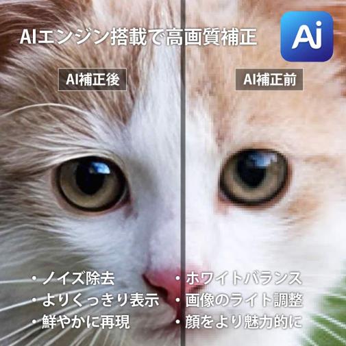 【Aiエンジン搭載】アクリルフォト（長方形）　色褪せない透明感