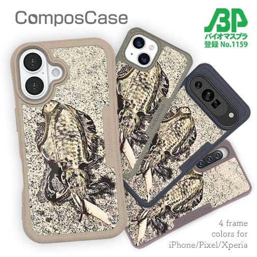 【Compos-Case】エギングでアオリイカ