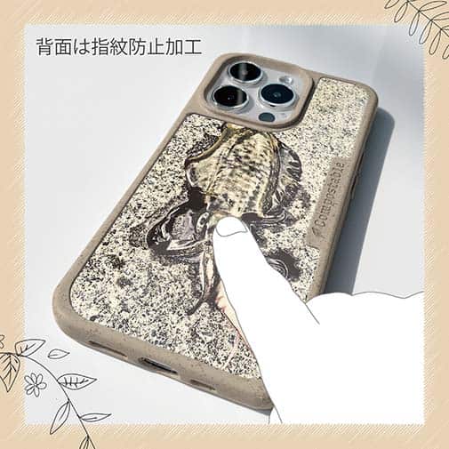 【Compos-Case】エギングでアオリイカ