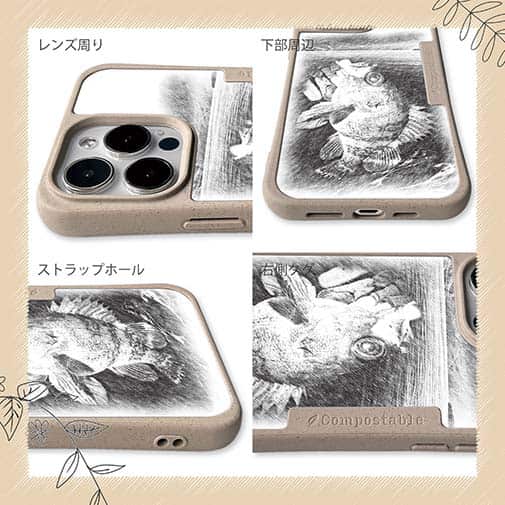 【Compos-Case】メバリングでメバル