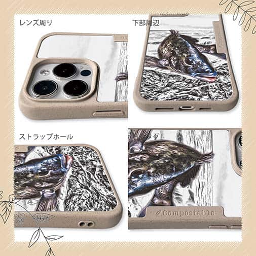 【Compos-Case】精悍なクロダイ(チヌ)