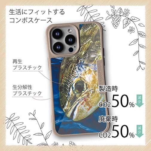 【Compos-Case】表層の怪物シイラ