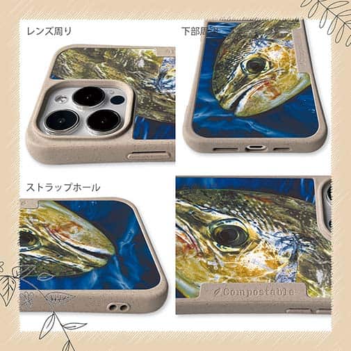 【Compos-Case】表層の怪物シイラ