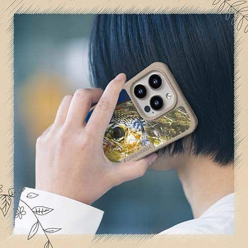 【Compos-Case】表層の怪物シイラ