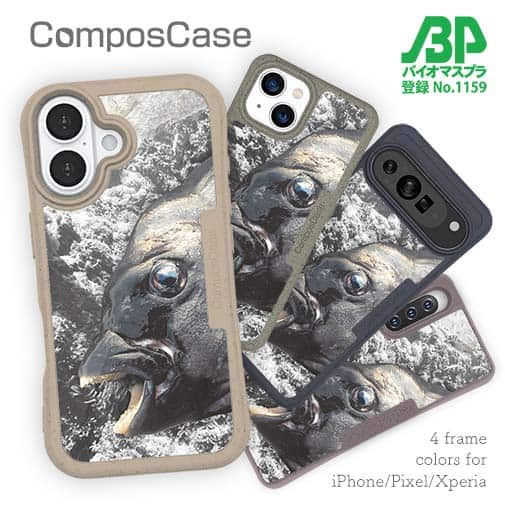 【Compos-Case】イシダイの強靭な歯