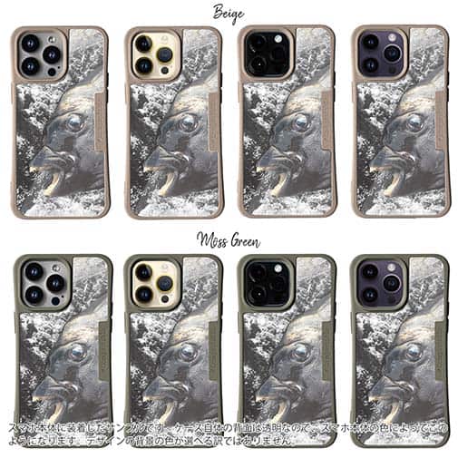 【Compos-Case】イシダイの強靭な歯