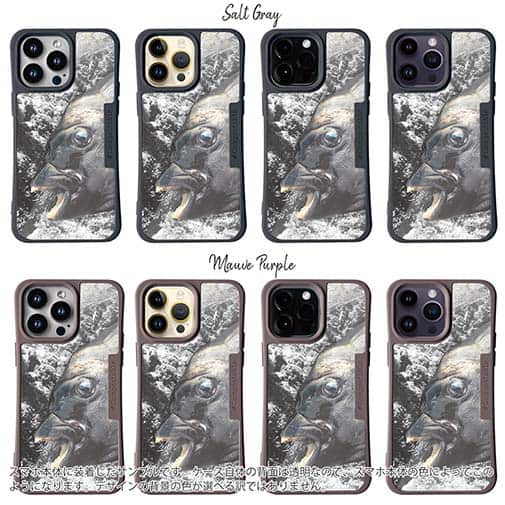 【Compos-Case】イシダイの強靭な歯