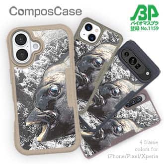 【Compos-Case】イシダイの強靭な歯