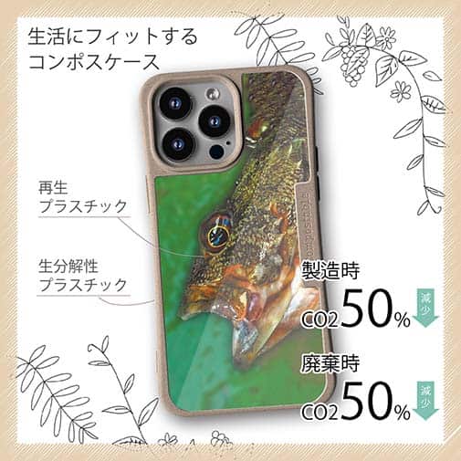 【Compos-Case】カサゴ