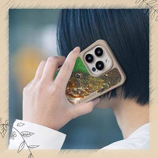 【Compos-Case】カサゴ