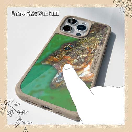 【Compos-Case】カサゴ