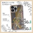 【Compos-Case】エギングにアオリイカ