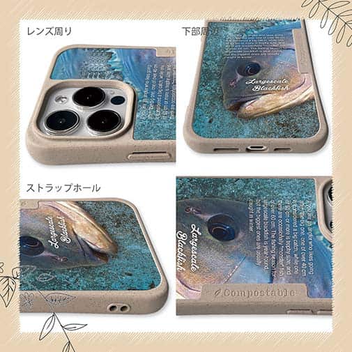 【Compos-Case】メジナ(グレ)の目