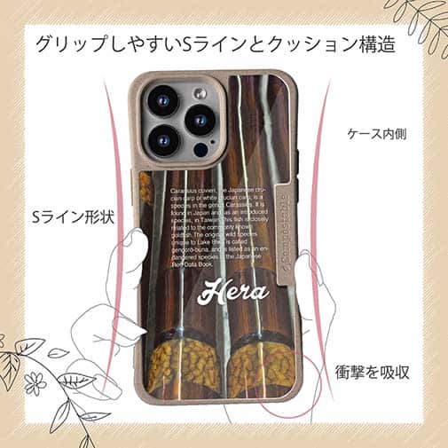 【Compos-Case】ヘラブナ釣り