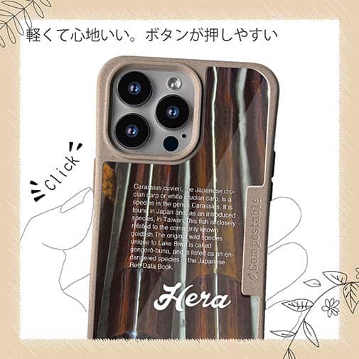 【Compos-Case】ヘラブナ釣り