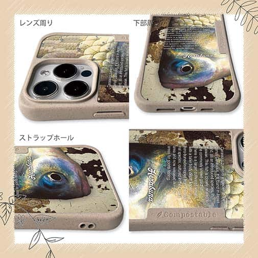 【Compos-Case】ヘラブナ