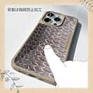 【Compos-Case】クロダイ鱗