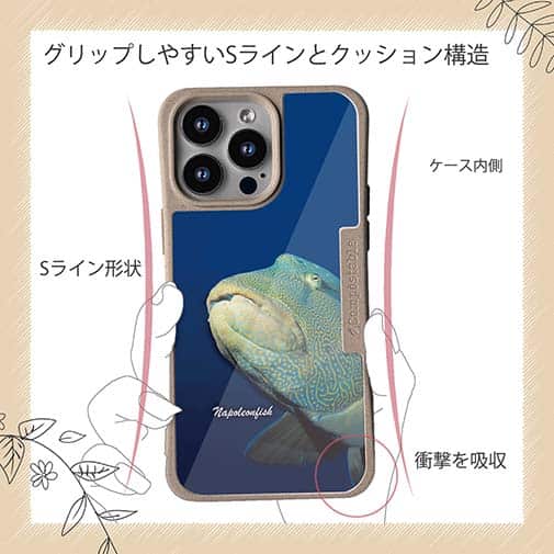 【Compos-Case】水中　ナポレオンフィッシュ