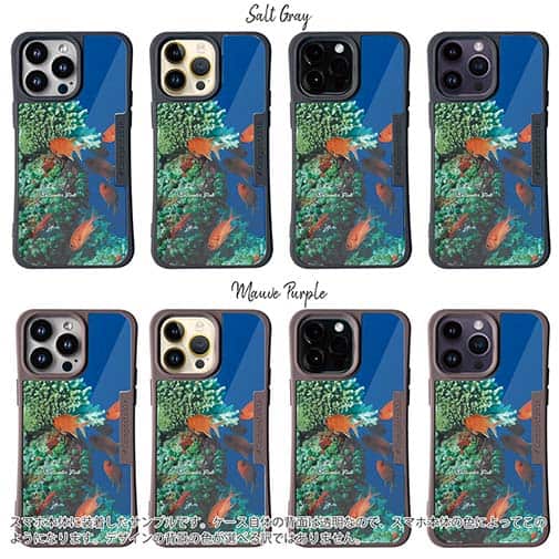 【Compos-Case】熱帯魚　No.1　マツカサ類