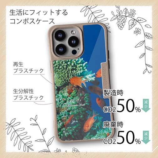 【Compos-Case】熱帯魚　No.1　マツカサ類