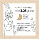 【Compos-Case】熱帯魚　No.4　カクレクマノミ