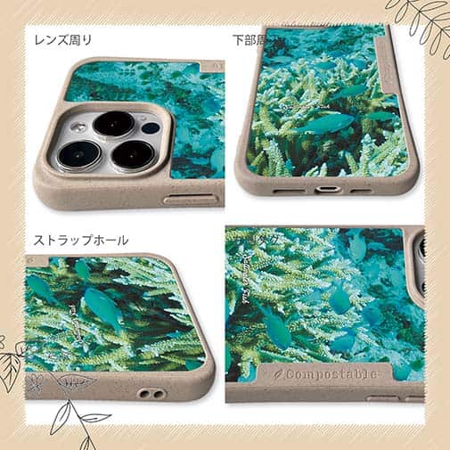 【Compos-Case】熱帯魚　No.6　デバスズメ