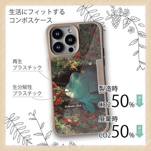 【Compos-Case】熱帯魚　No.7　アオブダイ