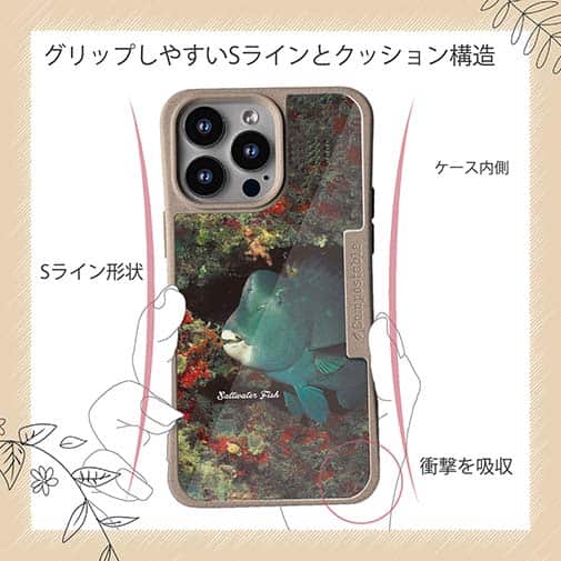 【Compos-Case】熱帯魚　No.7　アオブダイ