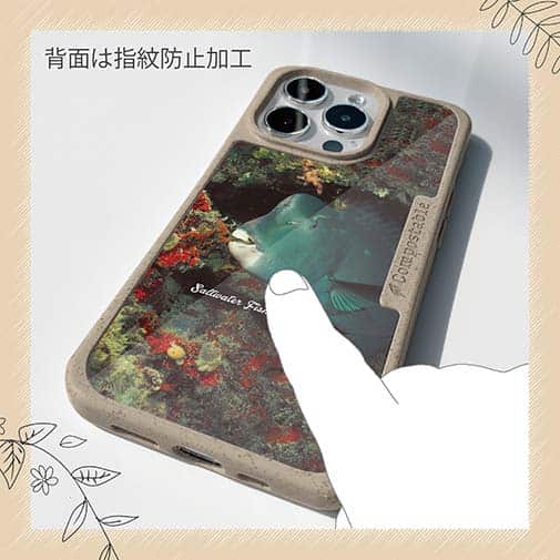 【Compos-Case】熱帯魚　No.7　アオブダイ