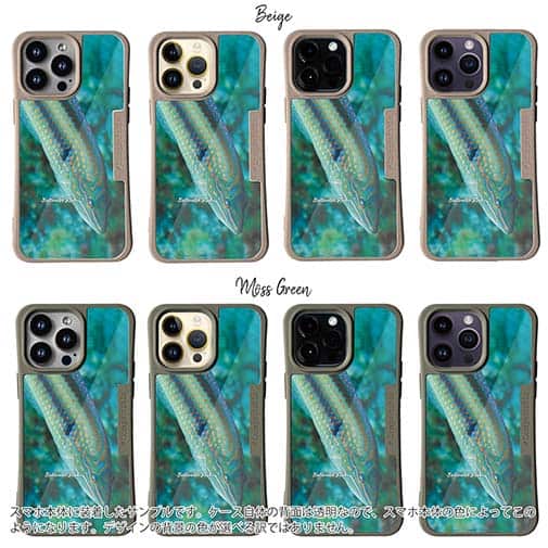 【Compos-Case】熱帯魚　No.8　キュウセンベラ