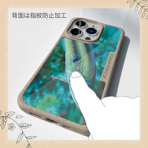 【Compos-Case】熱帯魚　No.8　キュウセンベラ