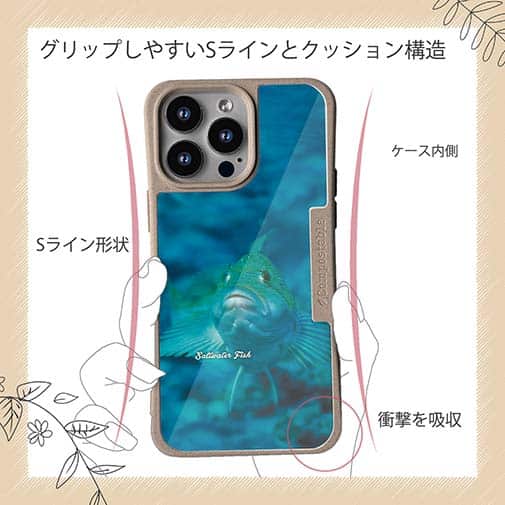 【Compos-Case】熱帯魚　No.9　クジメ