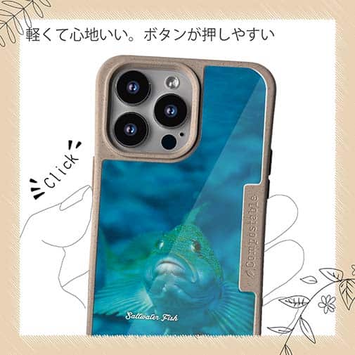 【Compos-Case】熱帯魚　No.9　クジメ