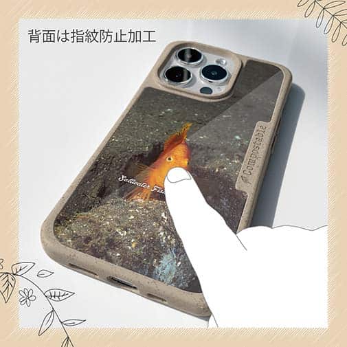 【Compos-Case】熱帯魚　No.10　ウイゴンベ