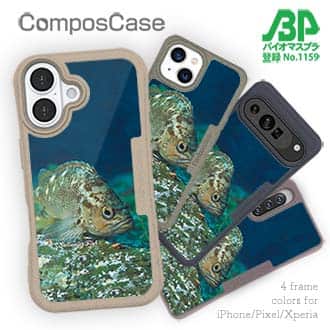 【Compos-Case】熱帯魚　No.11　メバル