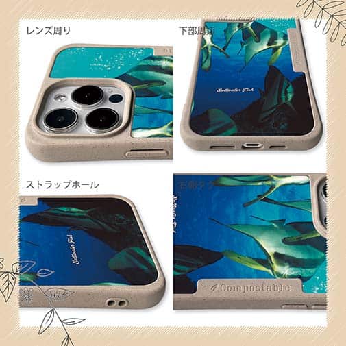 【Compos-Case】熱帯魚　No.13　ツバメウオの群れ