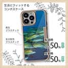 【Compos-Case】熱帯魚　No.14　ヨスジフエダイ